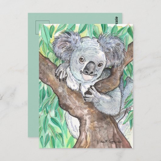 Koala in de Eucalyptusboom Briefkaart (Voorkant / Achterkant)
