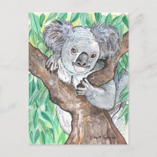 Koala in de Eucalyptusboom Briefkaart (Voorkant)