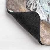 Koala in de Eucalyptusboom Muismat (Hoek)