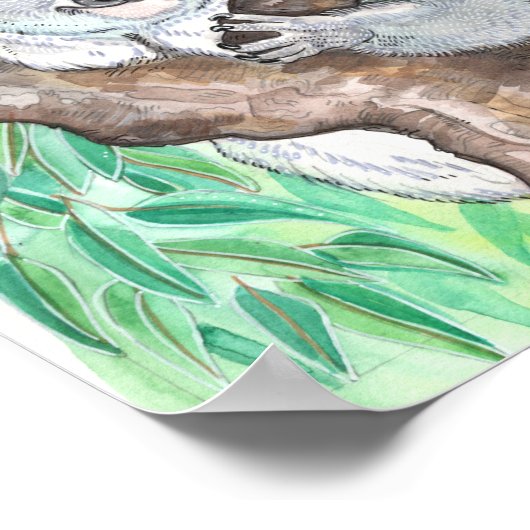 Koala in de Eucalyptusboom Poster (Hoek)