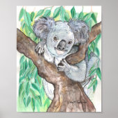 Koala in de Eucalyptusboom Poster (Voorkant)