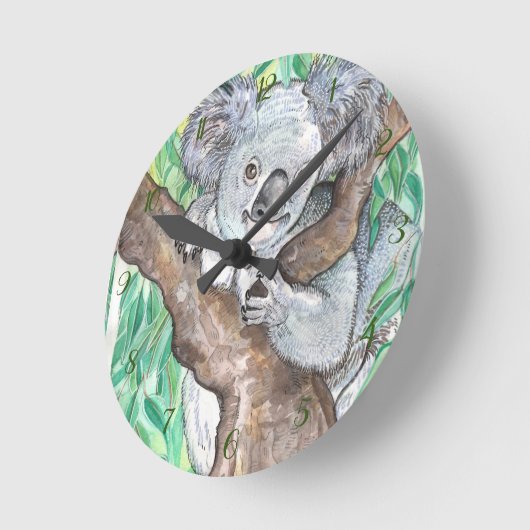 Koala in de Eucalyptusboom Ronde Klok (Hoek)