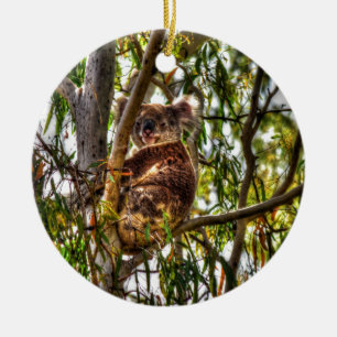 KOALA IN DE GEVOLGEN VAN DE KUNST VAN QUEENSLAND KERAMISCH ORNAMENT