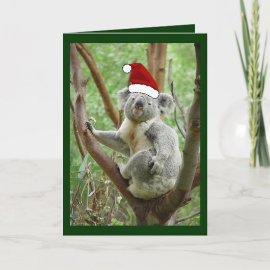 Koala in de Kerstkaart van de Foto van het Pet van Feestdagen Kaart (Voorkant)