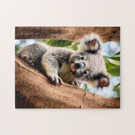 Koala in een boom legpuzzel (Horizontaal)