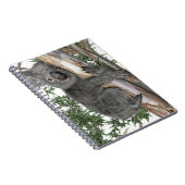 Koala in een boom notitieboek (Rechterzijde)