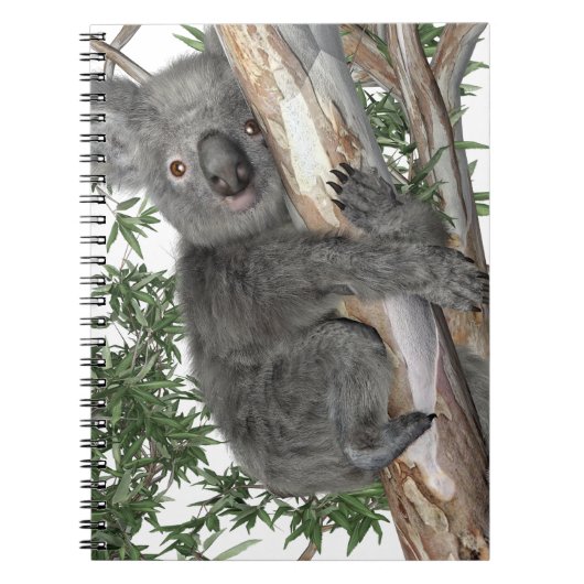Koala in een boom notitieboek (Voorkant)