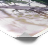 Koala in een boom poster (Hoek)