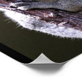 Koala in het Poster van de bomen (Hoek)