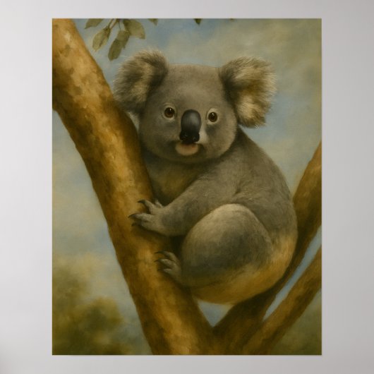 Koala in het stille licht poster (Voorkant)