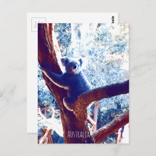 Koala in het vee Australië Briefkaart (Voorkant / Achterkant)