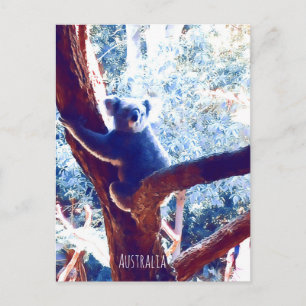 Koala in het vee Australië Briefkaart