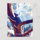 Koala in het vee Australië Briefkaart (Voorkant)