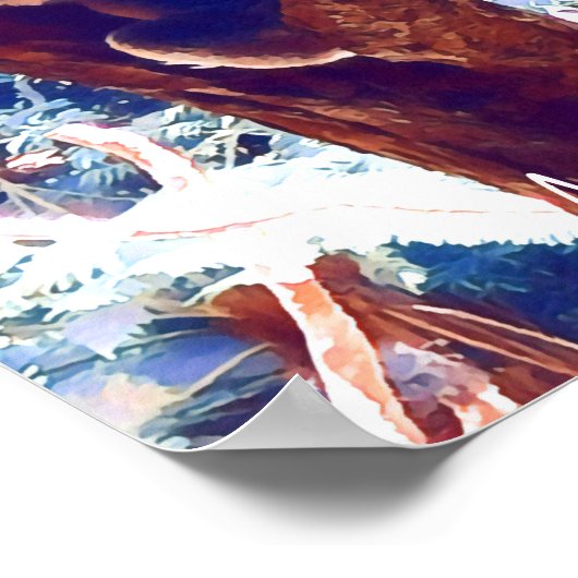 Koala in het vee Australië Poster (Hoek)