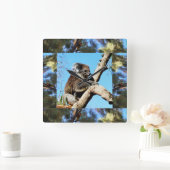 Koala In Old Pine Tree Framed With Lorikeet, Vierkante Klok (Huis)