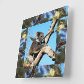 Koala In Old Pine Tree Framed With Lorikeet, Vierkante Klok (Hoek)