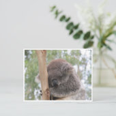 koala in slaap briefkaart (Staand voorkant)