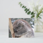 koala in slaap briefkaart (Staand voorkant)