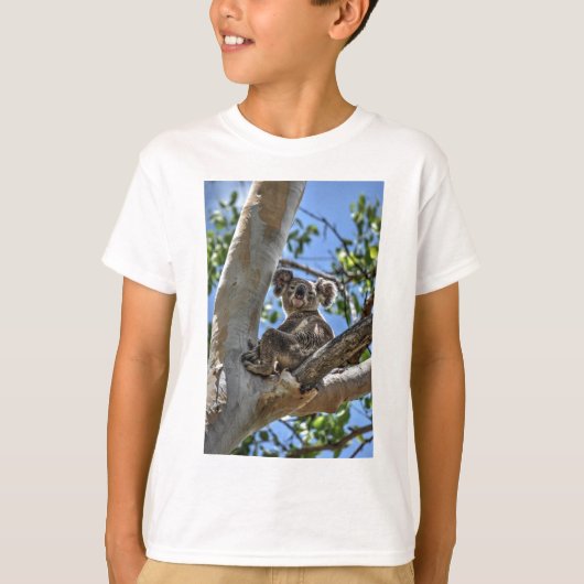 KOALA IN TREE AUSTRALIA ART EFFECTEN T-SHIRT (Voorkant)