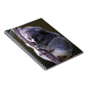 Koala in Tree-laptop Notitieboek (Rechterzijde)
