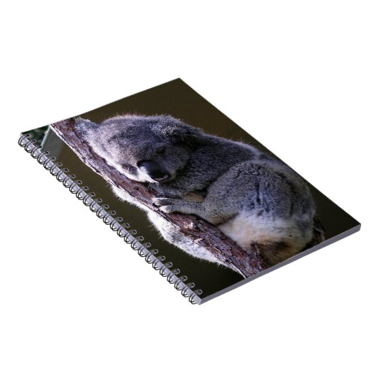 Koala in Tree-laptop Notitieboek (Rechterzijde)
