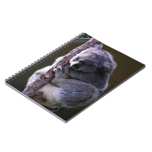 Koala in Tree-laptop Notitieboek (Linkerzijde)