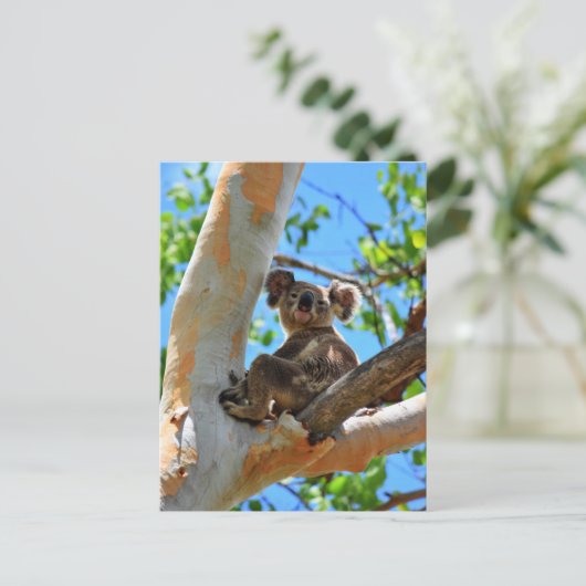 KOALA IN TREE QUEENSLAND AUSTRALIË BRIEFKAART (Staand voorkant)