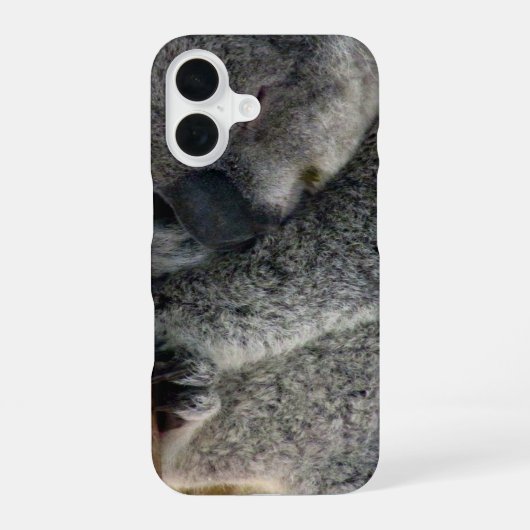 koala iPhone 16 hoesje (Achterkant)