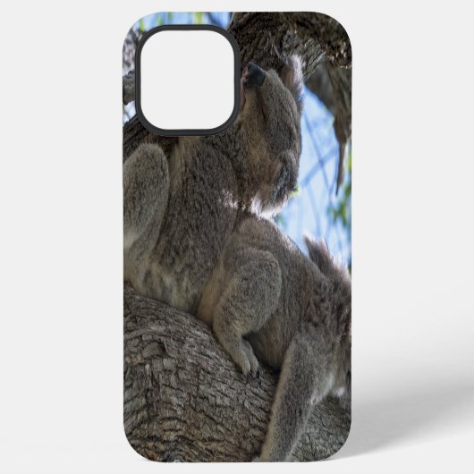 Koala iPhone Hoesje (Achterkant)
