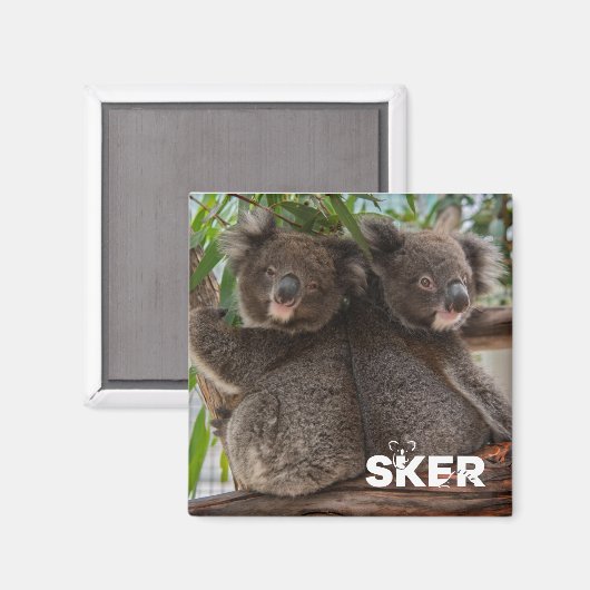 Koala Joey Magneet (Voorkant / Achterkant)