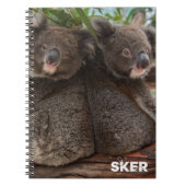 Koala Joeys violette en verkruimelde notitieboek (Voorkant)