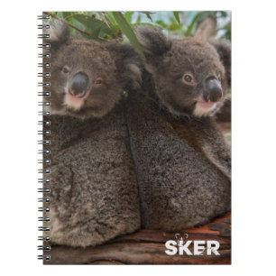 Koala Joeys violette en verkruimelde notitieboek