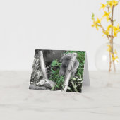 Koala Kaart (Gele Bloem)