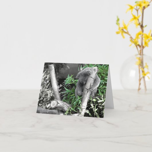 Koala Kaart (Gele Bloem)