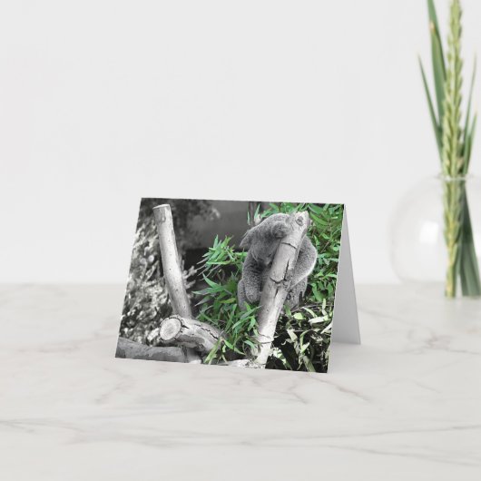 Koala Kaart (Voorkant)