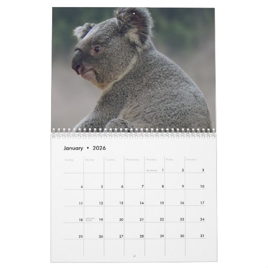 Koala Kalender (Jan 2026)