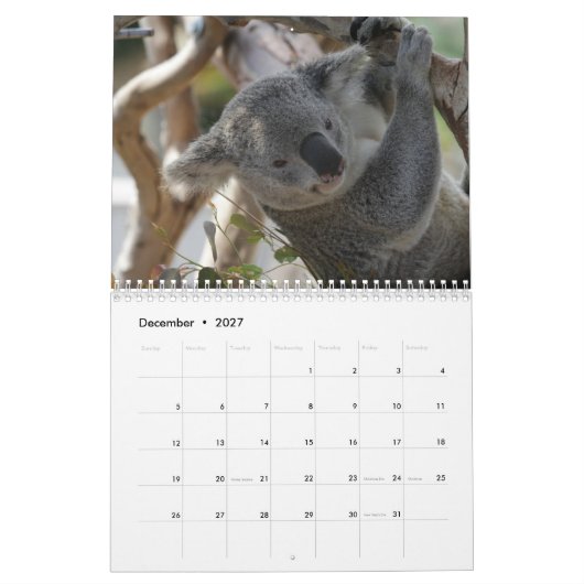 Koala Kalender (Dec 2027)