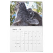 Koala Kalender (Feb 2022)