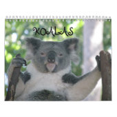 Koala Kalender (Hoes)