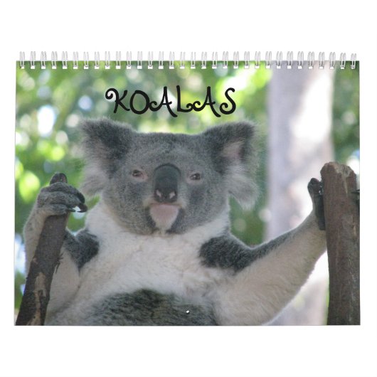 Koala Kalender (Hoes)