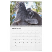 Koala Kalender (Feb 2027)