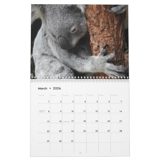 Koala Kalender (Mar 2026)