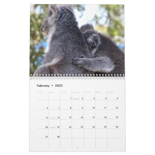 Koala Kalender (Feb 2022)
