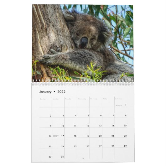 Koala Kalender (Jan 2022)