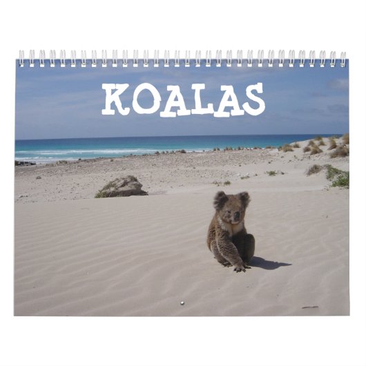 Koala Kalender (Hoes)