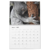 Koala Kalender (Mar 2027)