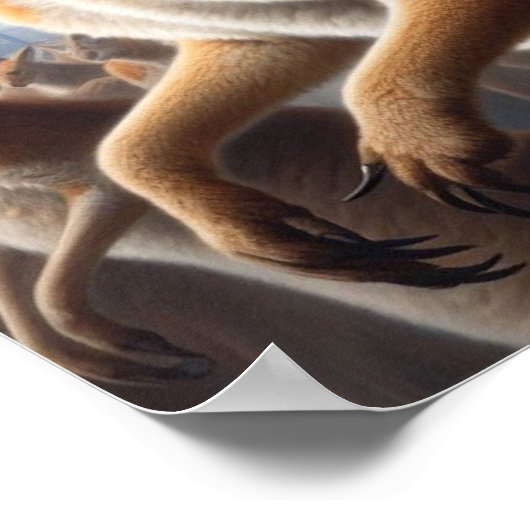 Koala Kangaroo Rider Poster (Hoek)