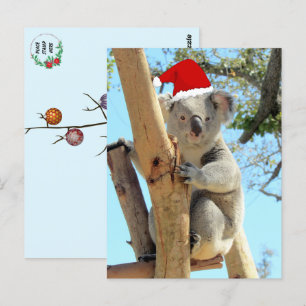 Koala Kerst Briefkaart