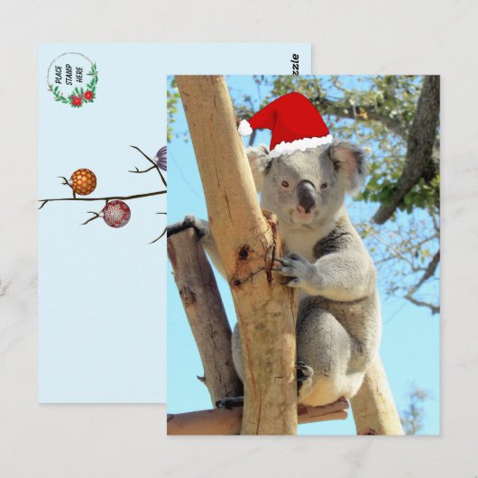 Koala Kerst Briefkaart (Voorkant / Achterkant)