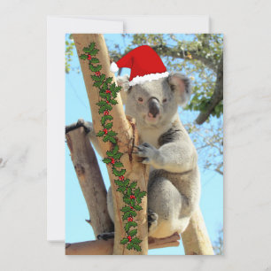Koala Kerst Flat Kaart